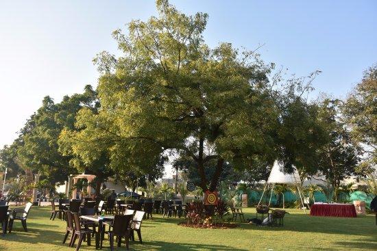 Laxmi Gardens and Food Studio